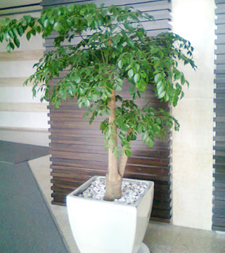 1-1Z62Q05P95G.jpg