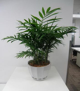 1-1Z62Q056110-L.jpg